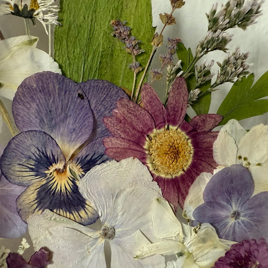 Drama geheimnisvoller Blumen