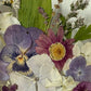 Drama geheimnisvoller Blumen