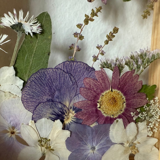 Drama geheimnisvoller Blumen