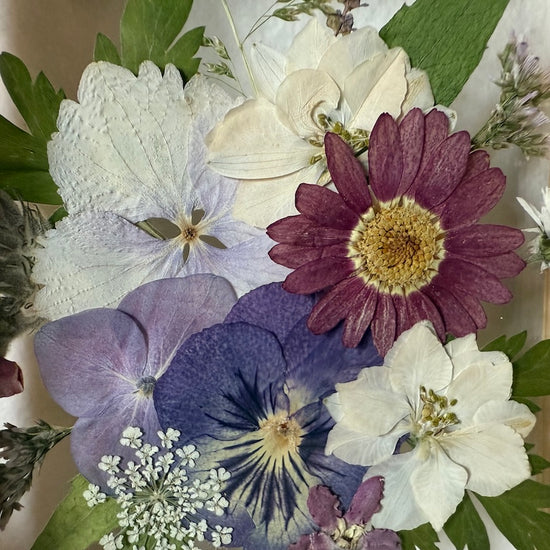 Drama geheimnisvoller Blumen
