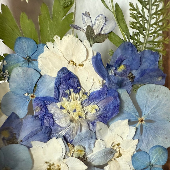 Drama geheimnisvoller Blumen