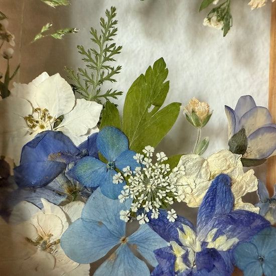 Drama geheimnisvoller Blumen