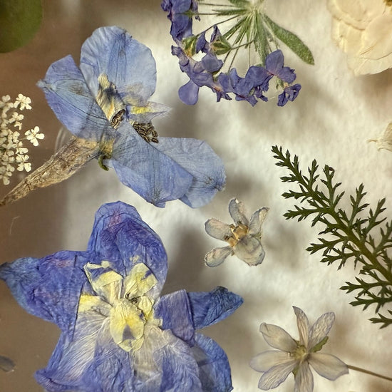 Drama geheimnisvoller Blumen
