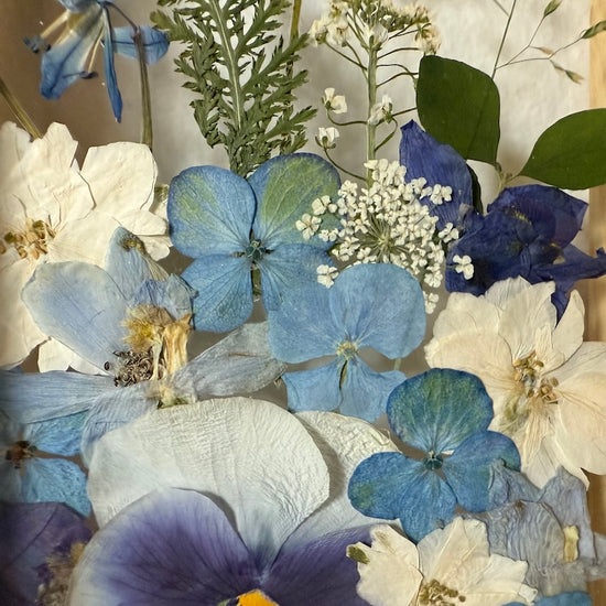 Drama geheimnisvoller Blumen