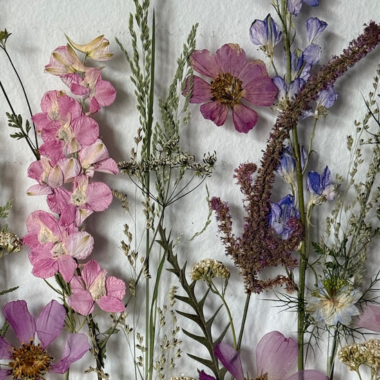 Nachtgarten der Träume