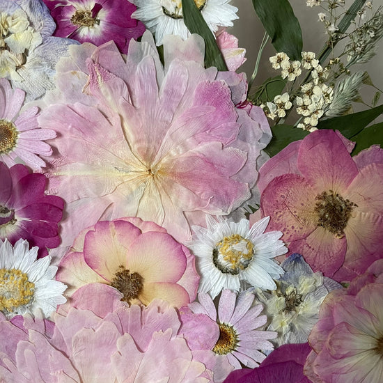 Wo Farbe ist, ist Leben