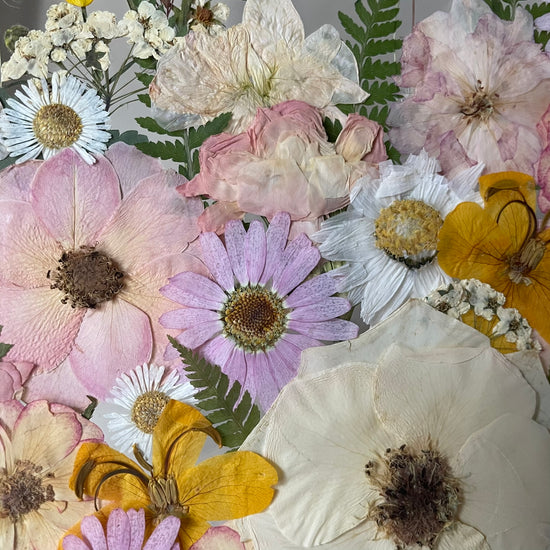 Hund im Frühlingsmantel