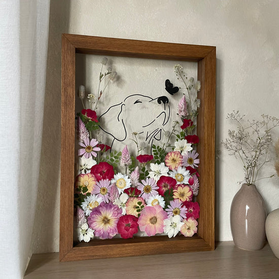 Hund im Frühlingsmantel