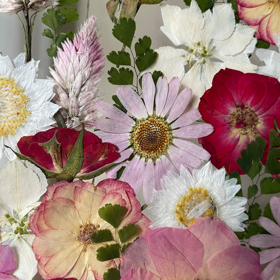 Hund im Frühlingsmantel