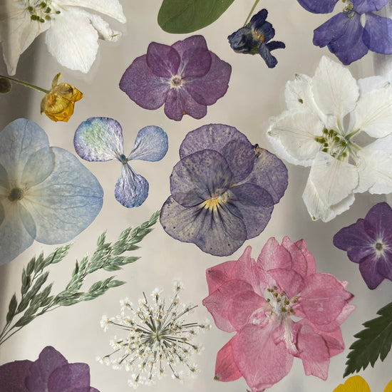 Drama geheimnisvoller Blumen