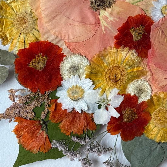 Nachtgarten der Träume