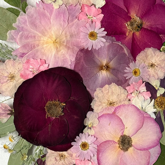 Wo Farbe ist, ist Leben