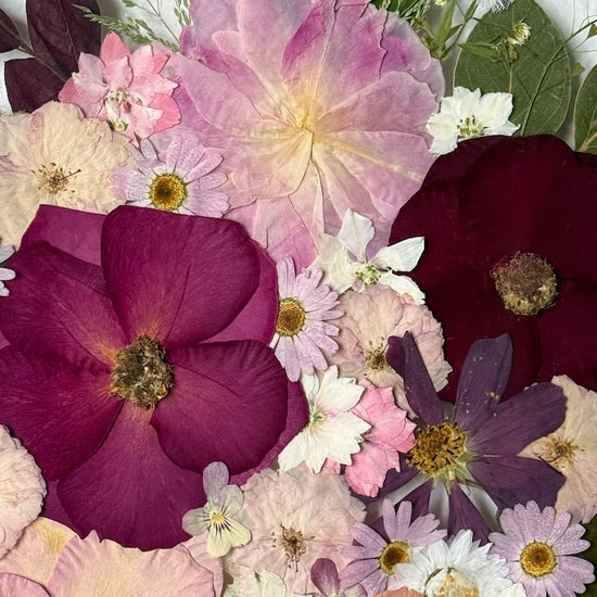 Wo Farbe ist, ist Leben