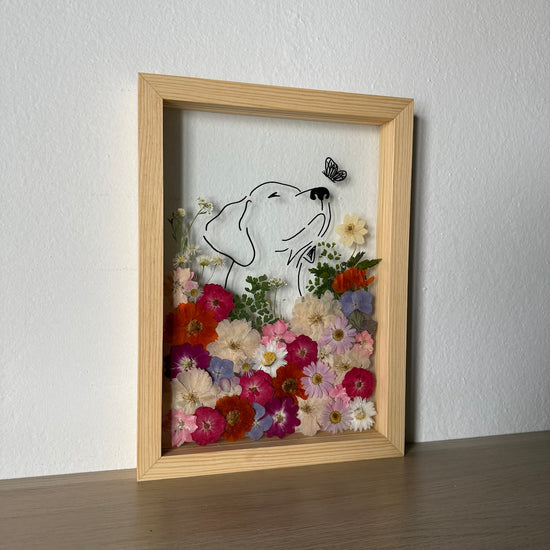 Hund im Frühlingsmantel