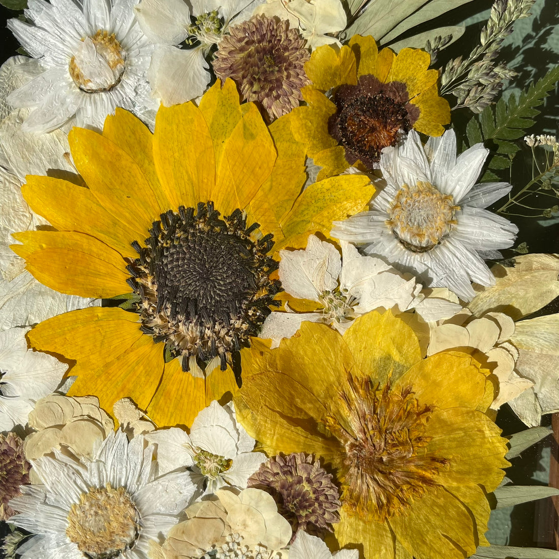 Auf dem sonnenbeschienenen Weg - Bilderset 2x S