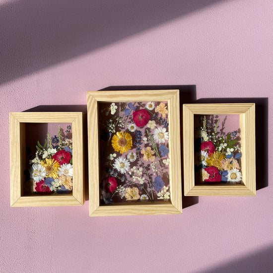 Nieswurz - Gemäldeset 1x S und 2x XS