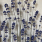 Blaues Königreich