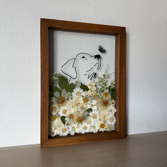 Hund im Frühlingsmantel