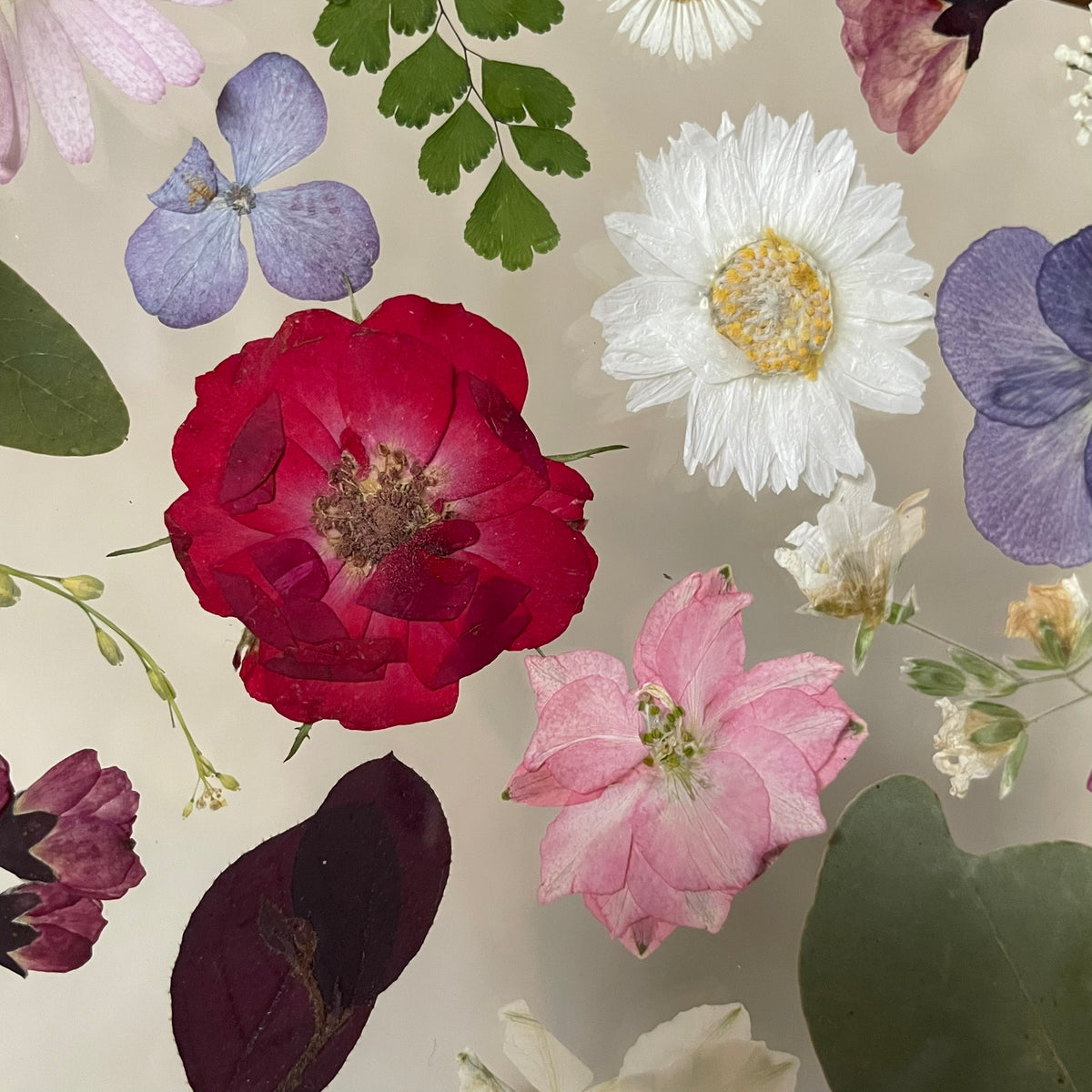 O du duftendes Röslein