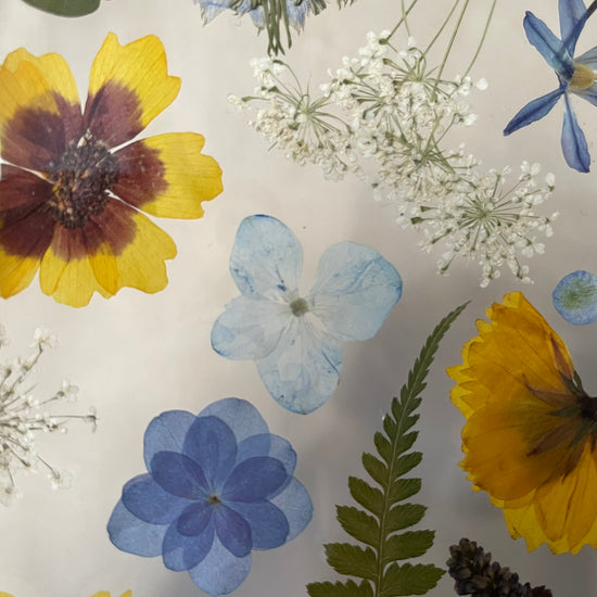 Drama geheimnisvoller Blumen