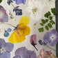Drama geheimnisvoller Blumen