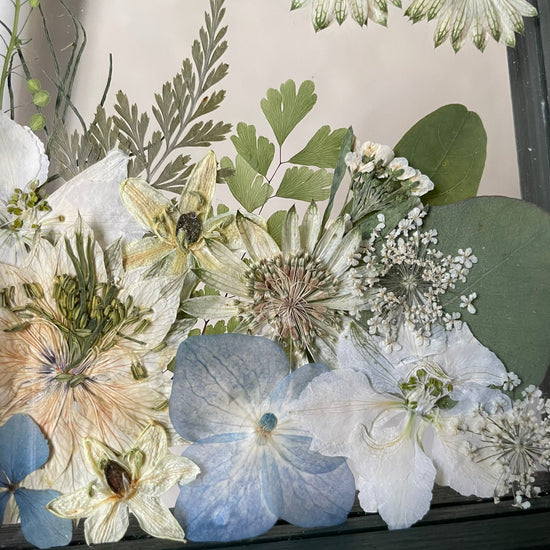 Drama geheimnisvoller Blumen