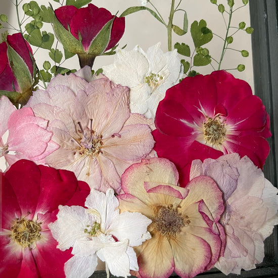 Drama geheimnisvoller Blumen