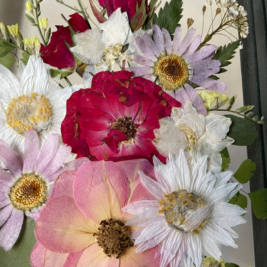 Drama geheimnisvoller Blumen