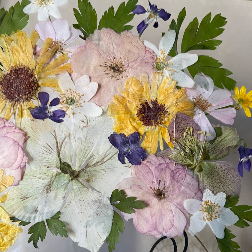 Ich sehe die Schönheit der Blumen