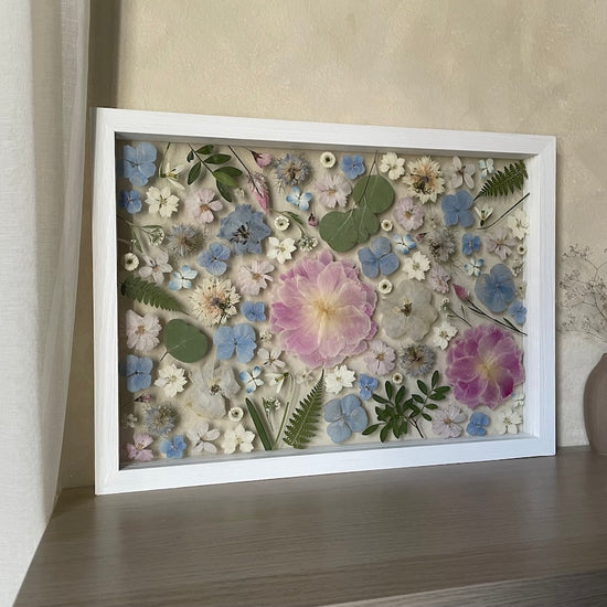 Pfingstrose im Garten