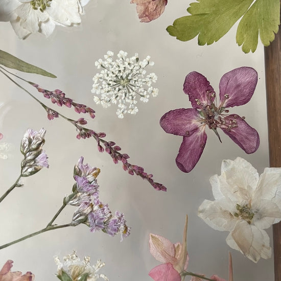 Drama geheimnisvoller Blumen
