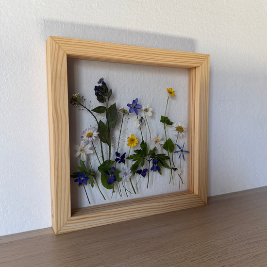 Wiesenblume