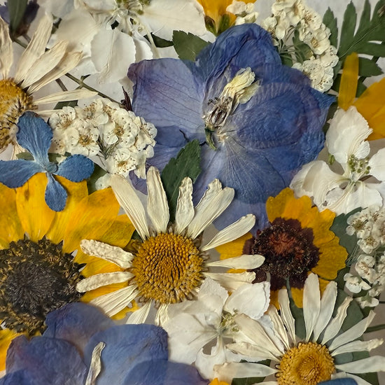 Blumenwolke