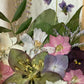 Drama geheimnisvoller Blumen