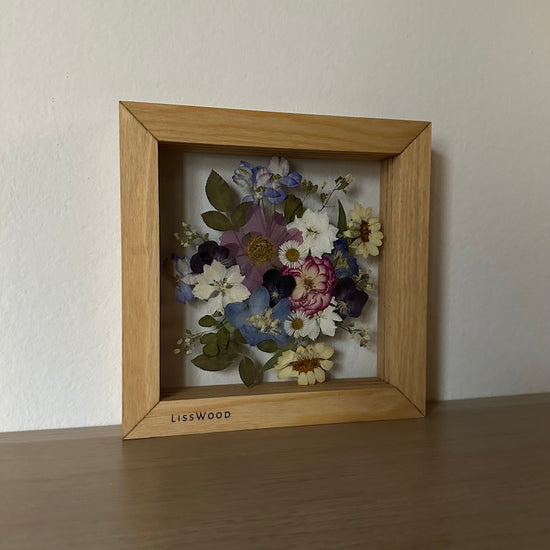 Anemonen in ihrem natürlichen Lebensraum