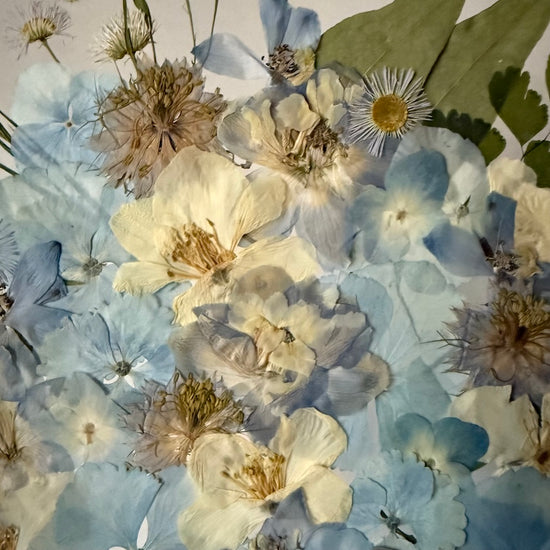 Farben der Seele