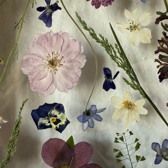 Die Bedeutung von Blumen