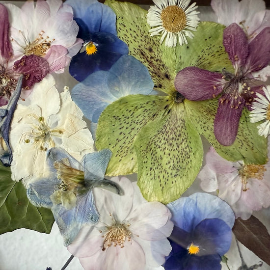 Wohin aus der floralen Langeweile? Hier entlang!
