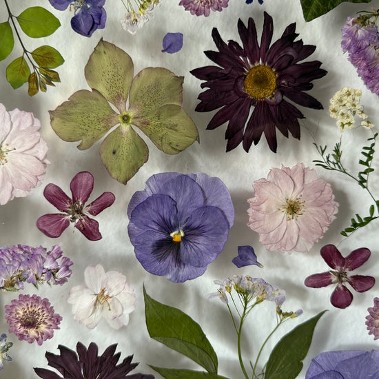 Blumigkeit