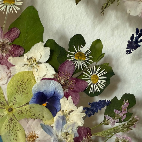 Wohin aus der floralen Langeweile? Hier entlang!