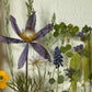 Wiesenblume