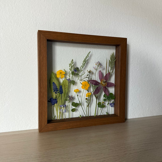 Wiesenblume