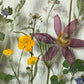 Wiesenblume