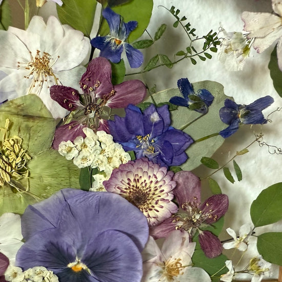 Wohin aus der floralen Langeweile? Hier entlang!