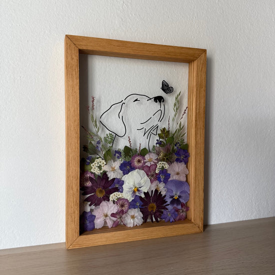 Hund im Frühlingsmantel