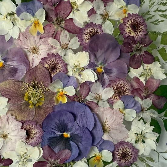 Blumigkeit