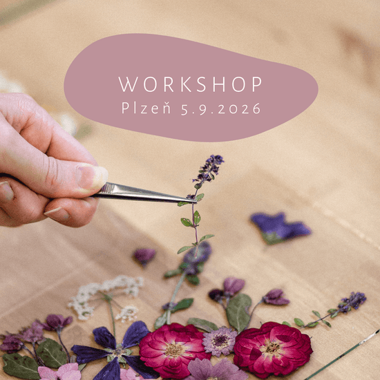 Blumenmal-Workshop - PILSEN 13.9.2025