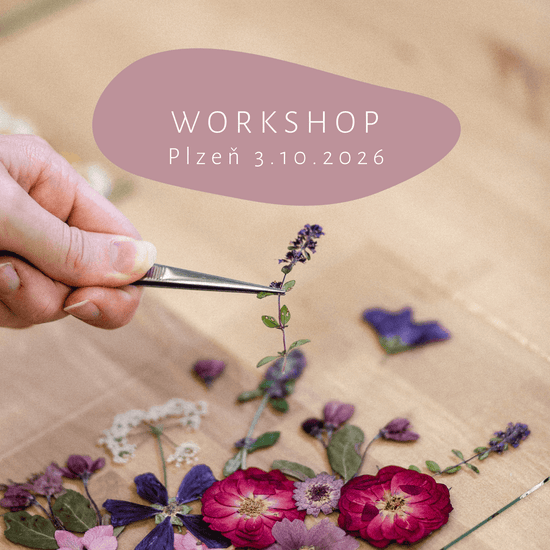 Blumenmal-Workshop - PILSEN 13.9.2025