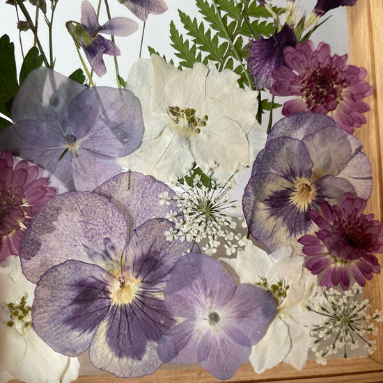 Drama geheimnisvoller Blumen