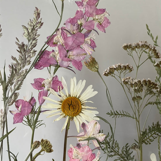 Nachtgarten der Träume